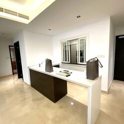 Orchard Scotts (D9), Condominium #578731591